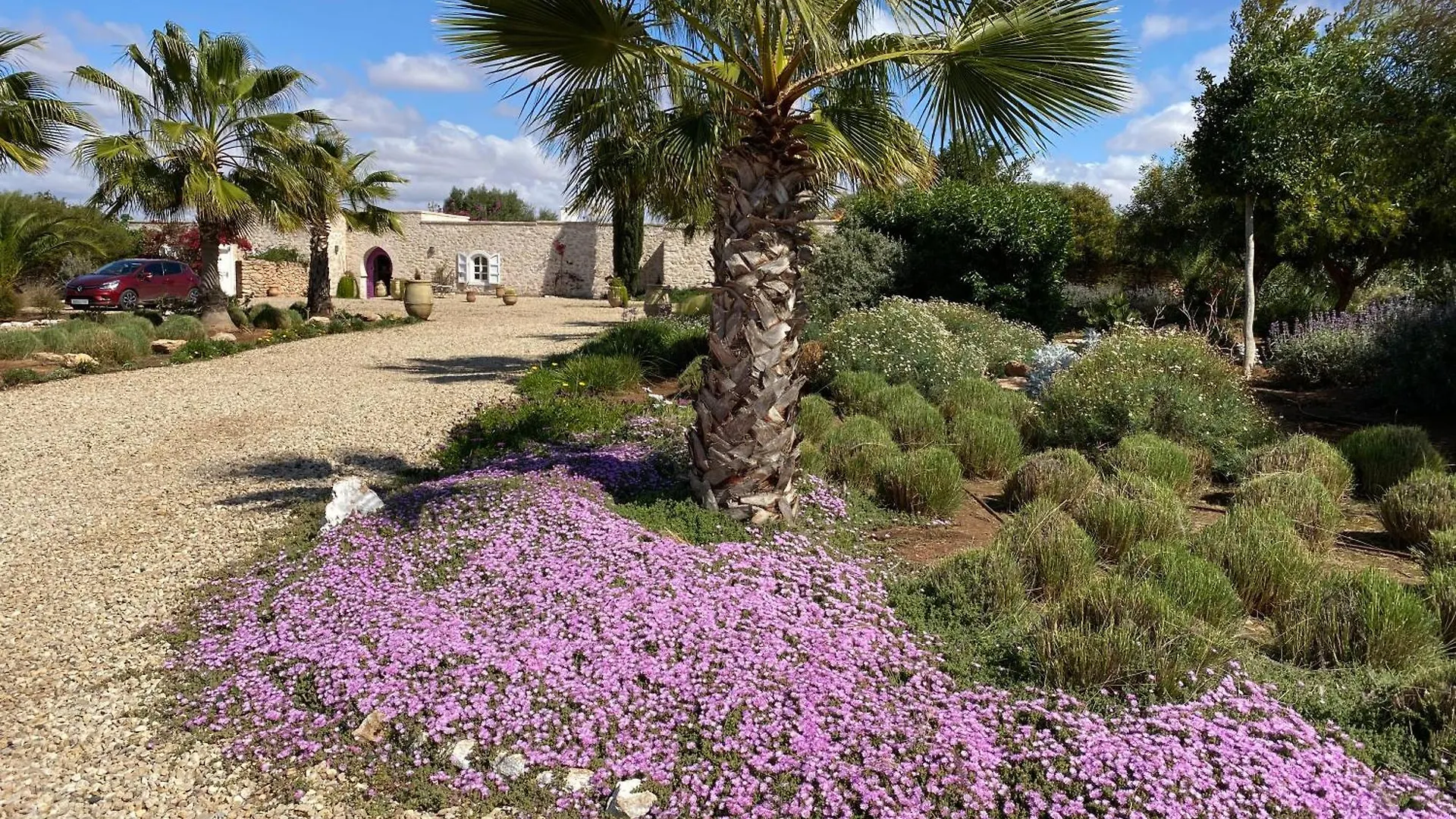 Dar Luce Lodge Essaouira 0*,  Marokko