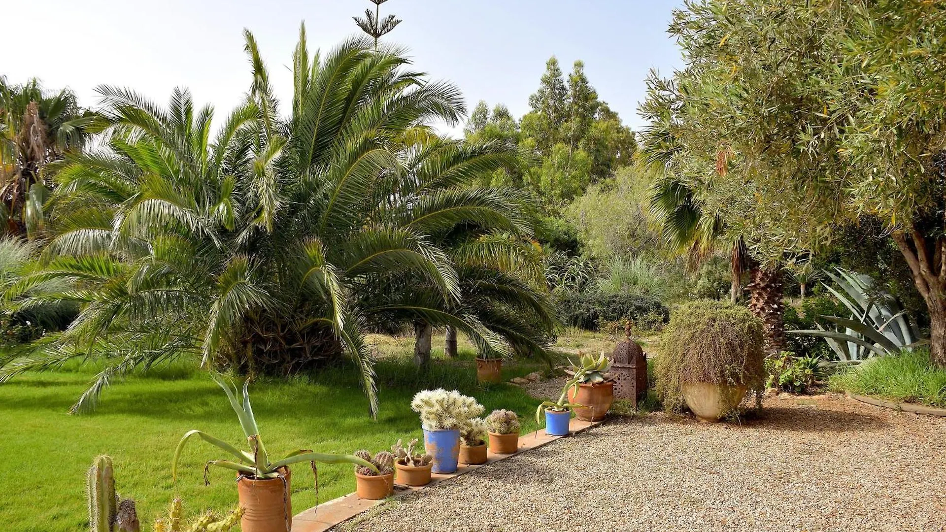 Dar Luce Lodge Essaouira